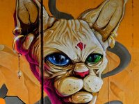 DSC 3161 Graffiti-Katze-fc