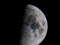 DSC 8790 Mond.-fc